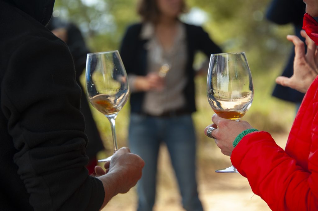 Tast de primavera. Celler Bàrbara Forés